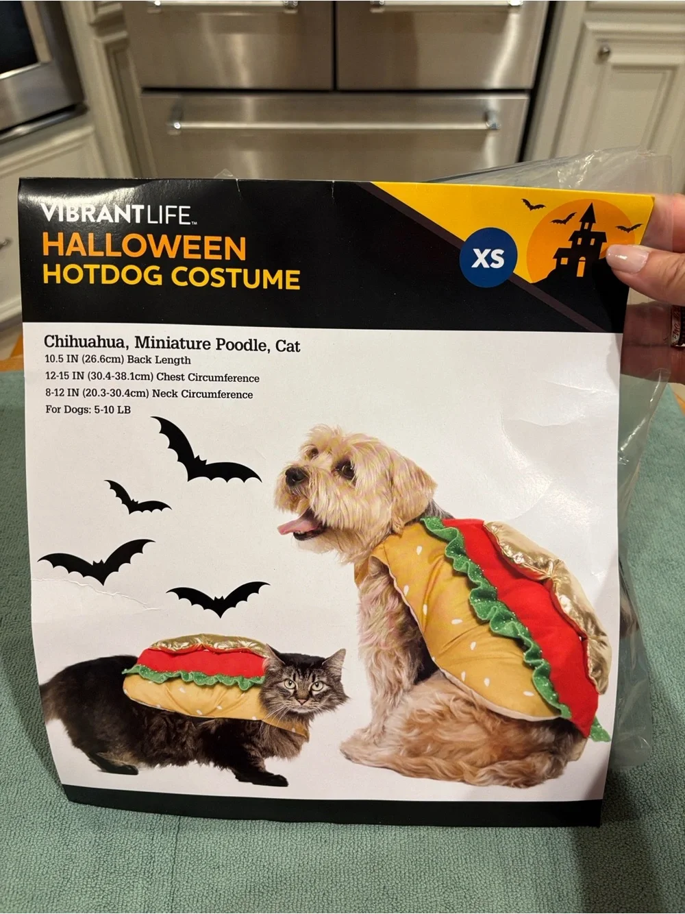 Vibrant Life Halloween Hotdog Dog & Cat Costume - Yellow/Red/Green - XS